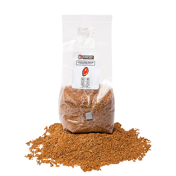 MushroomSupplies Sterilized Millet Grain Spawn Bag, 3 Lb