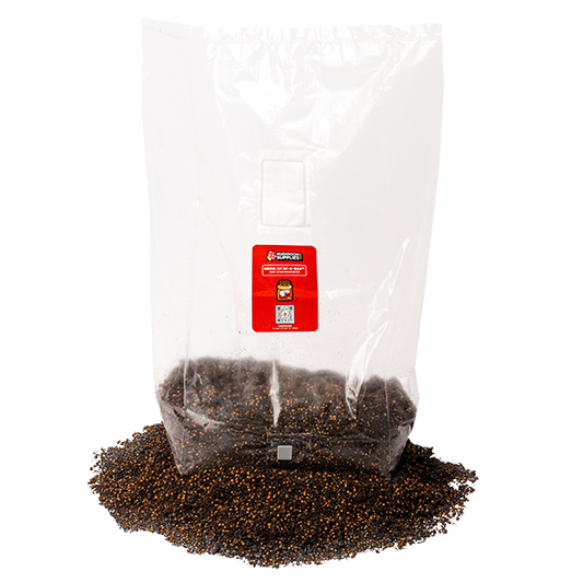 MushroomSupplies Grow Kit In-A-Bag - 5 LB