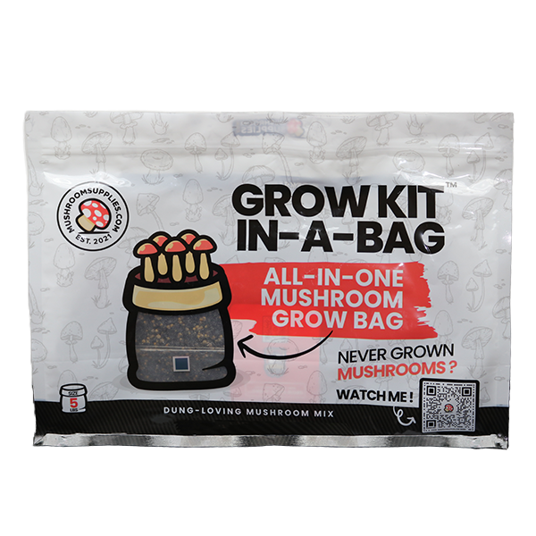 MushroomSupplies Grow Kit In-A-Bag - 5 LB