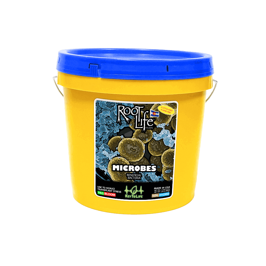 Root Life Microbes