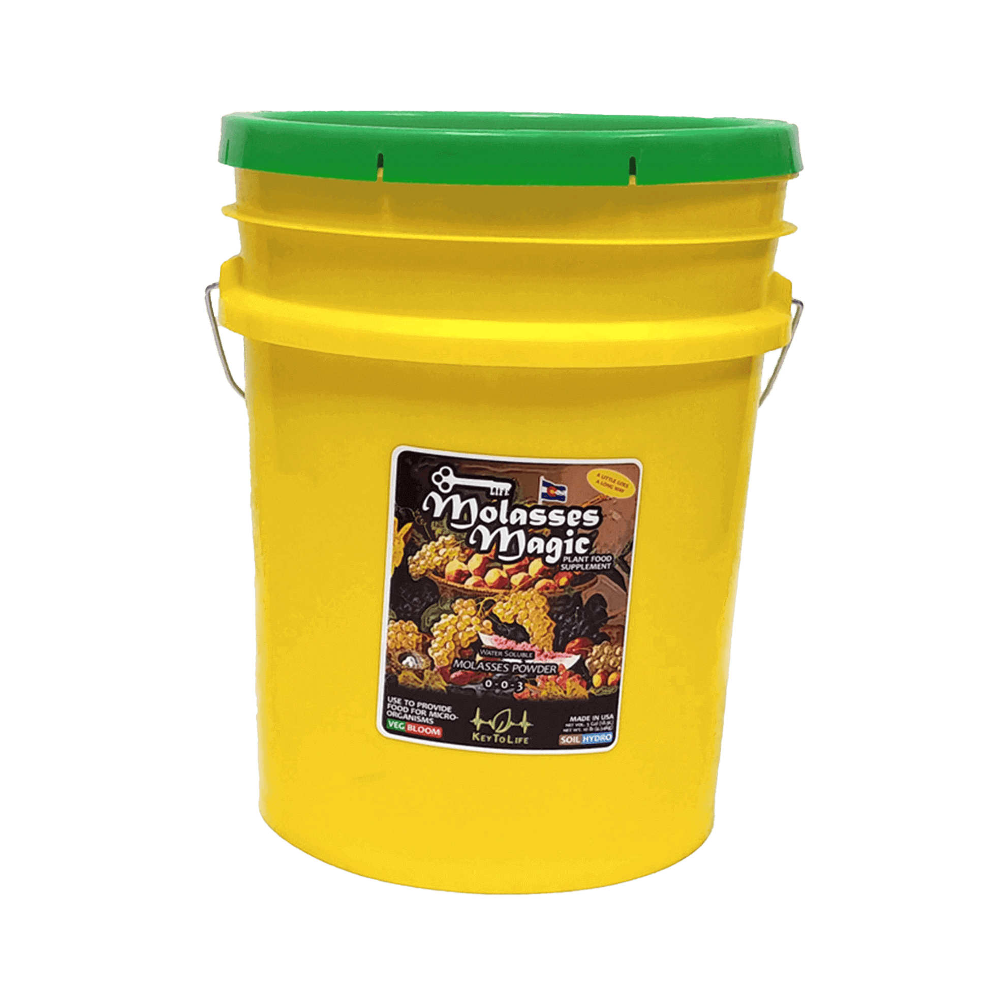 Molasses Magic
