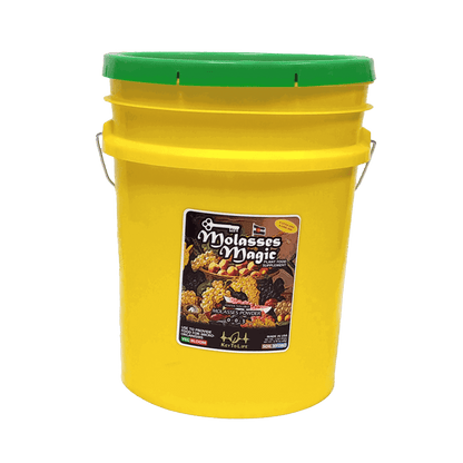 Molasses Magic