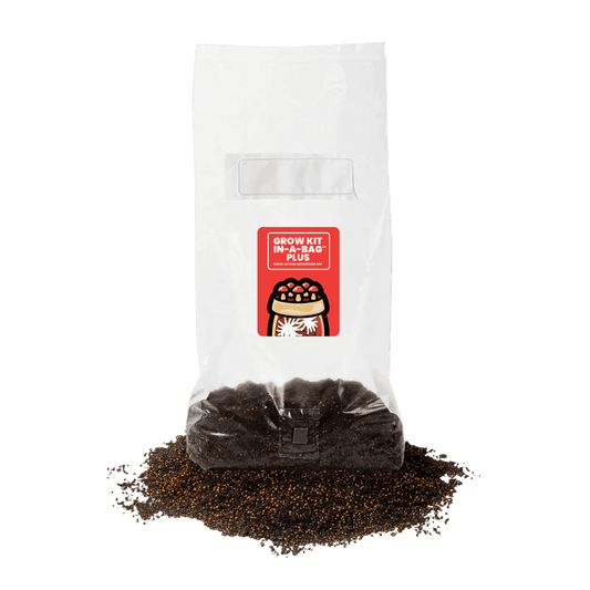 MushroomSupplies Grow Kit In-A-Bag PLUS, 5 Lb