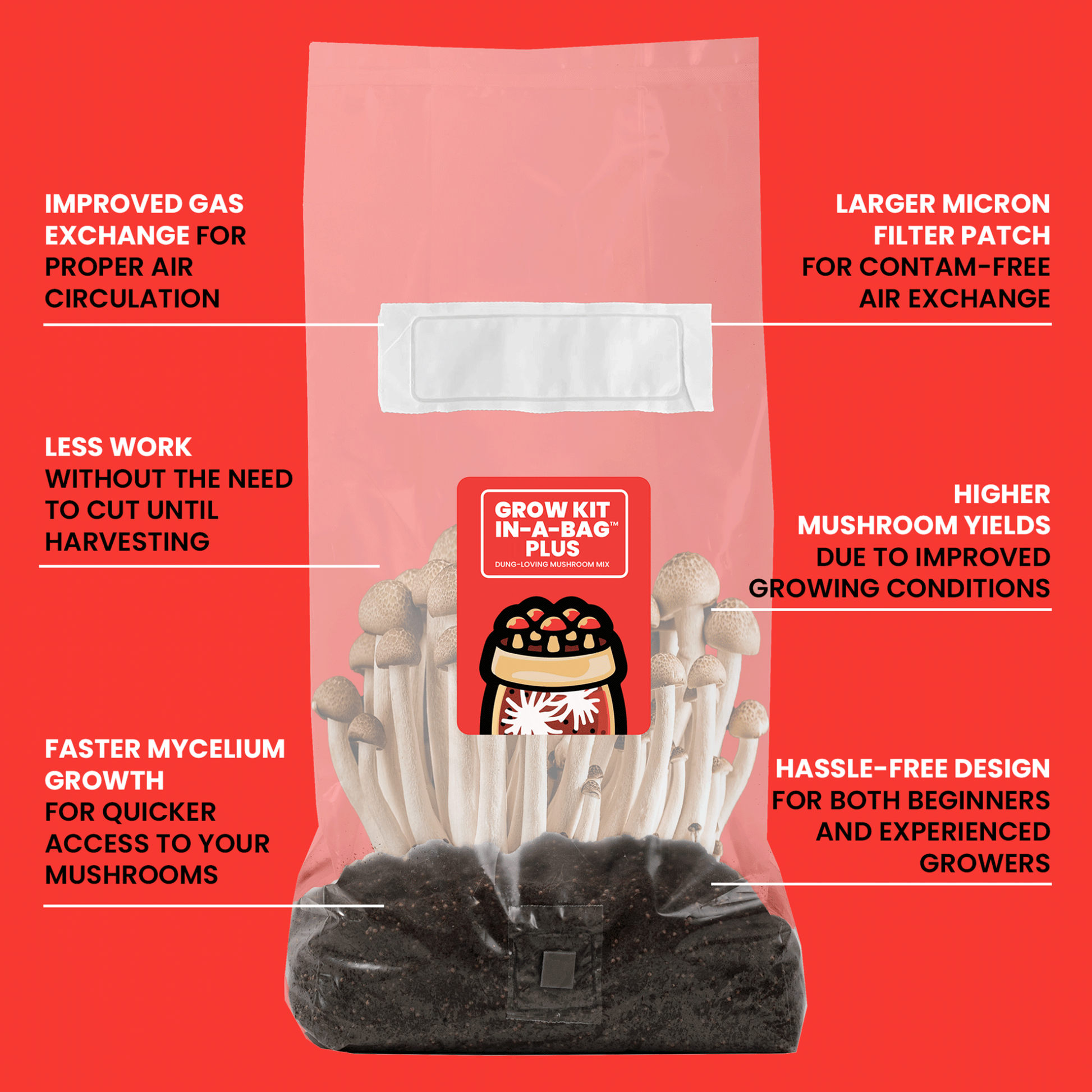 MushroomSupplies Grow Kit In-A-Bag PLUS, 5 Lb