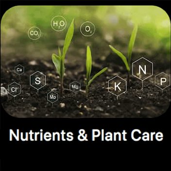 Nutrients & Plant Care