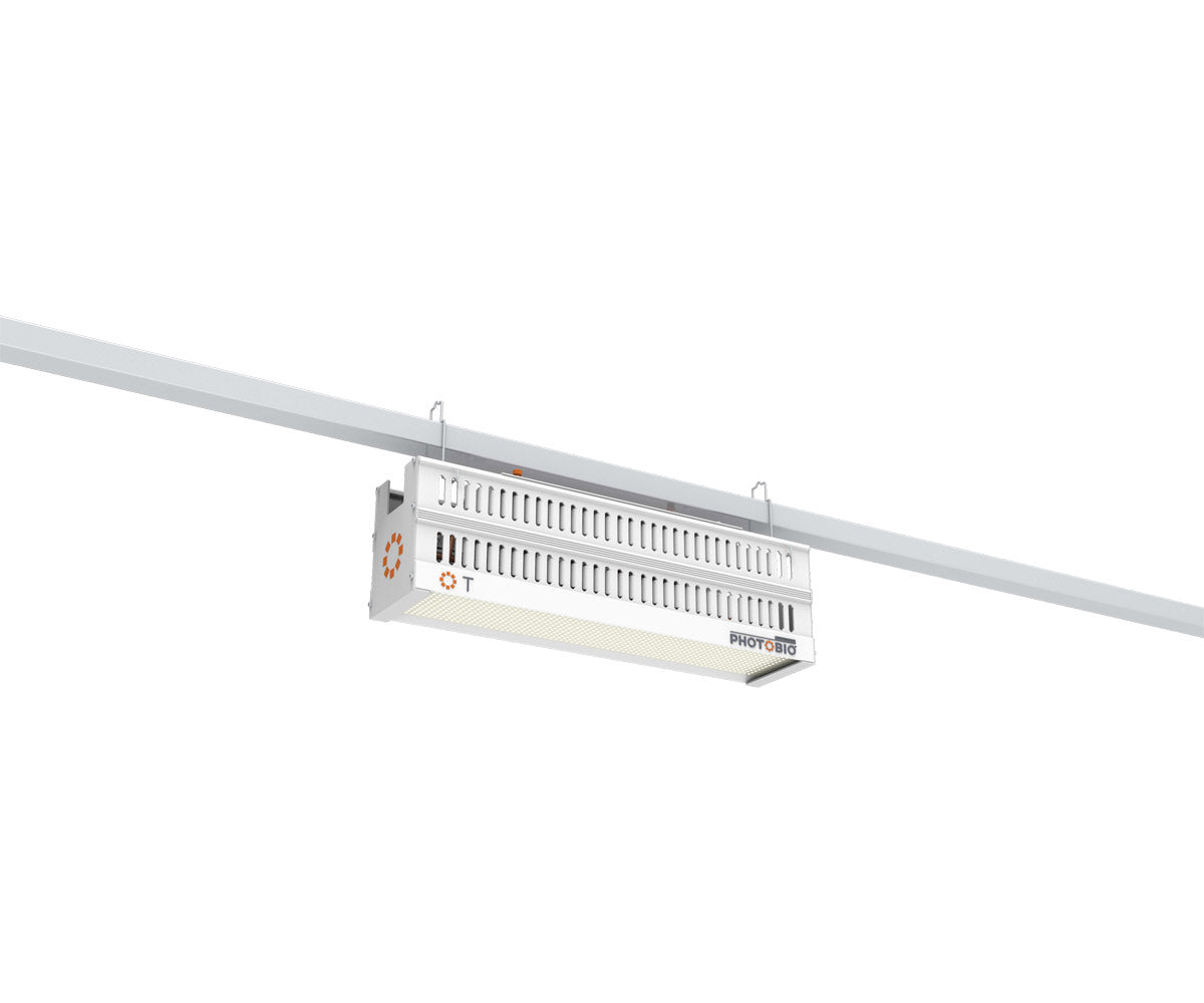 PHOTOBIO T LED, 330W Beam