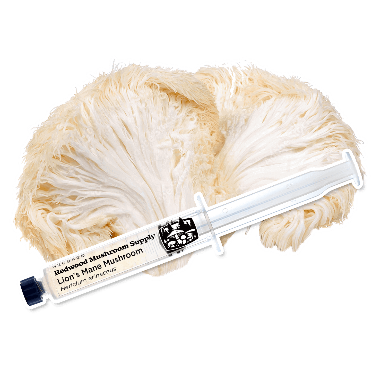 Lion’s Mane Mushroom Liquid Culture