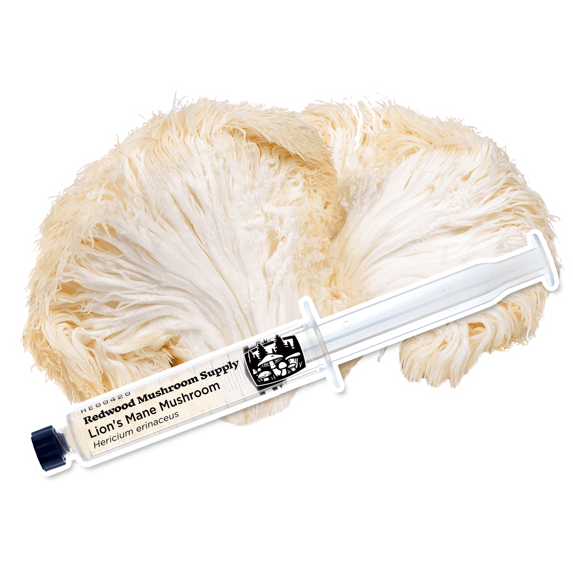 Lion’s Mane Mushroom Liquid Culture
