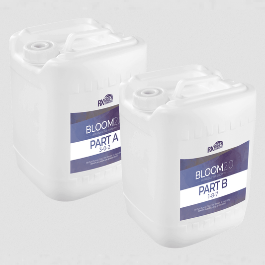 RX Green BLOOM 2.0 A & B