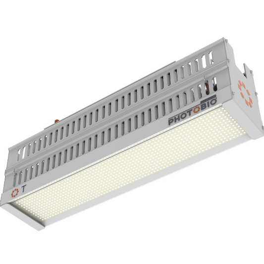 PHOTOBIO T LED, 330W