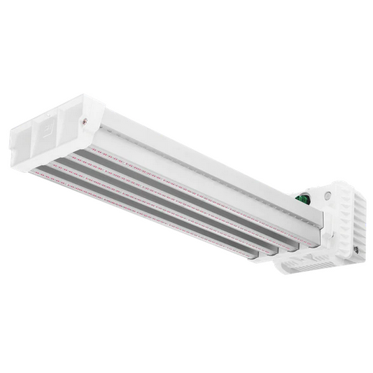 Dutch Lighting Innovations – Evolve Garden Supply