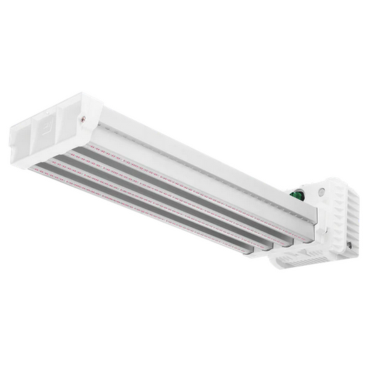 Dutch Lighting Innovations APEX-Series LED Toplight 1000w