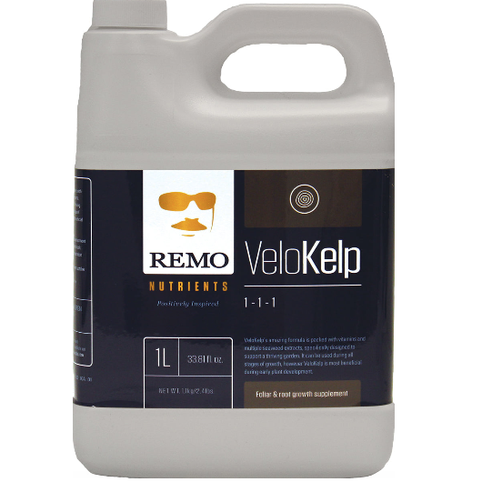 Remo VeloKelp