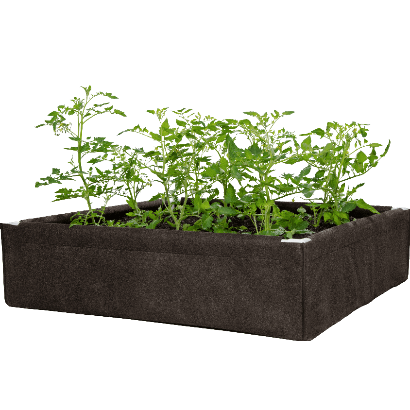 Dirt Pot Box, Raised Bed