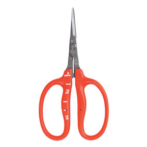 Chikamasa B500SF: Straight Fluorine Coated