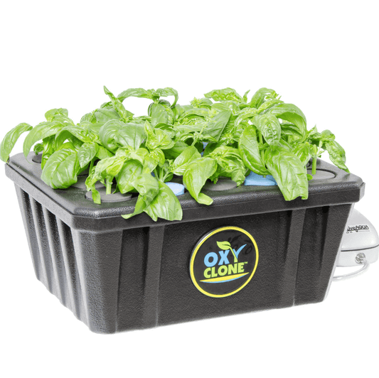 oxyCLONE PRO Series 20 Site Cloning System