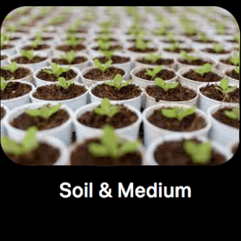 Soil & Medium