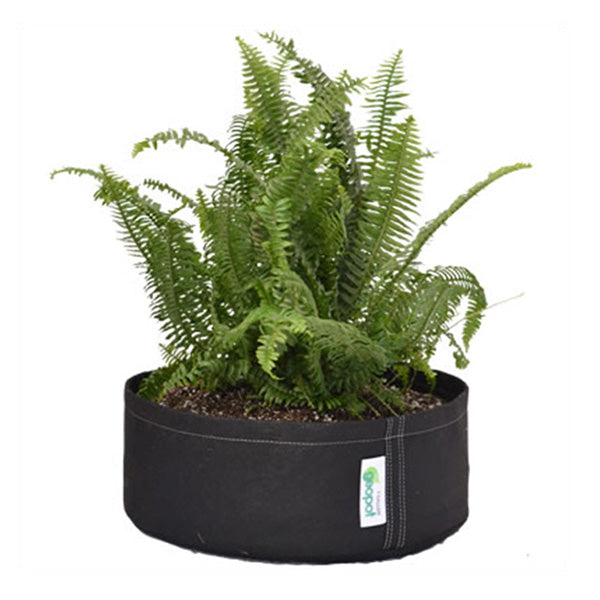 squat pots for plants GeoPot Squat Fabric Pots, Black