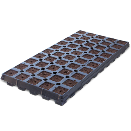 IHORT T50 Excel Plug Tray