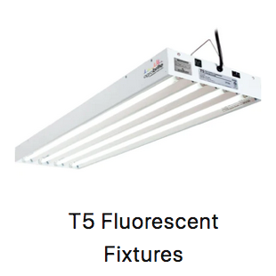 T5 Flourescent Lights