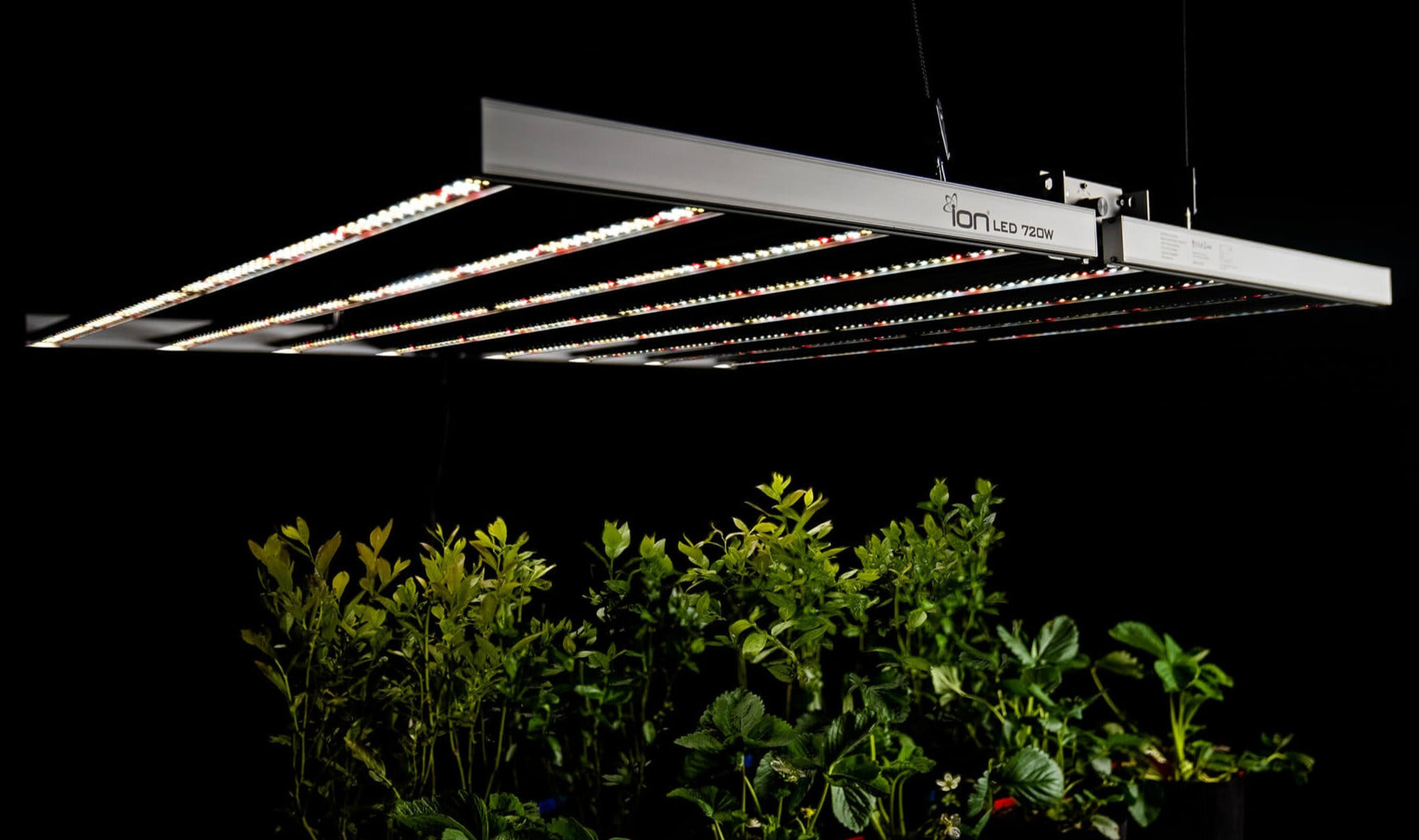 ION Lighting LED 720w 120-277v