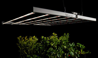 ION Lighting LED 720w 120-277v