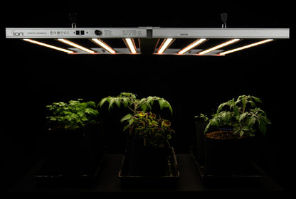 ION Lighting LED XR 830w PRO 120v-277v