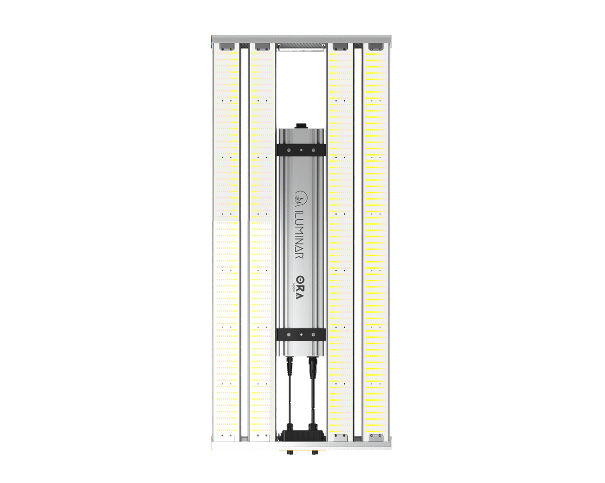 iLuminar ORA 1000W Full Spectrum LED