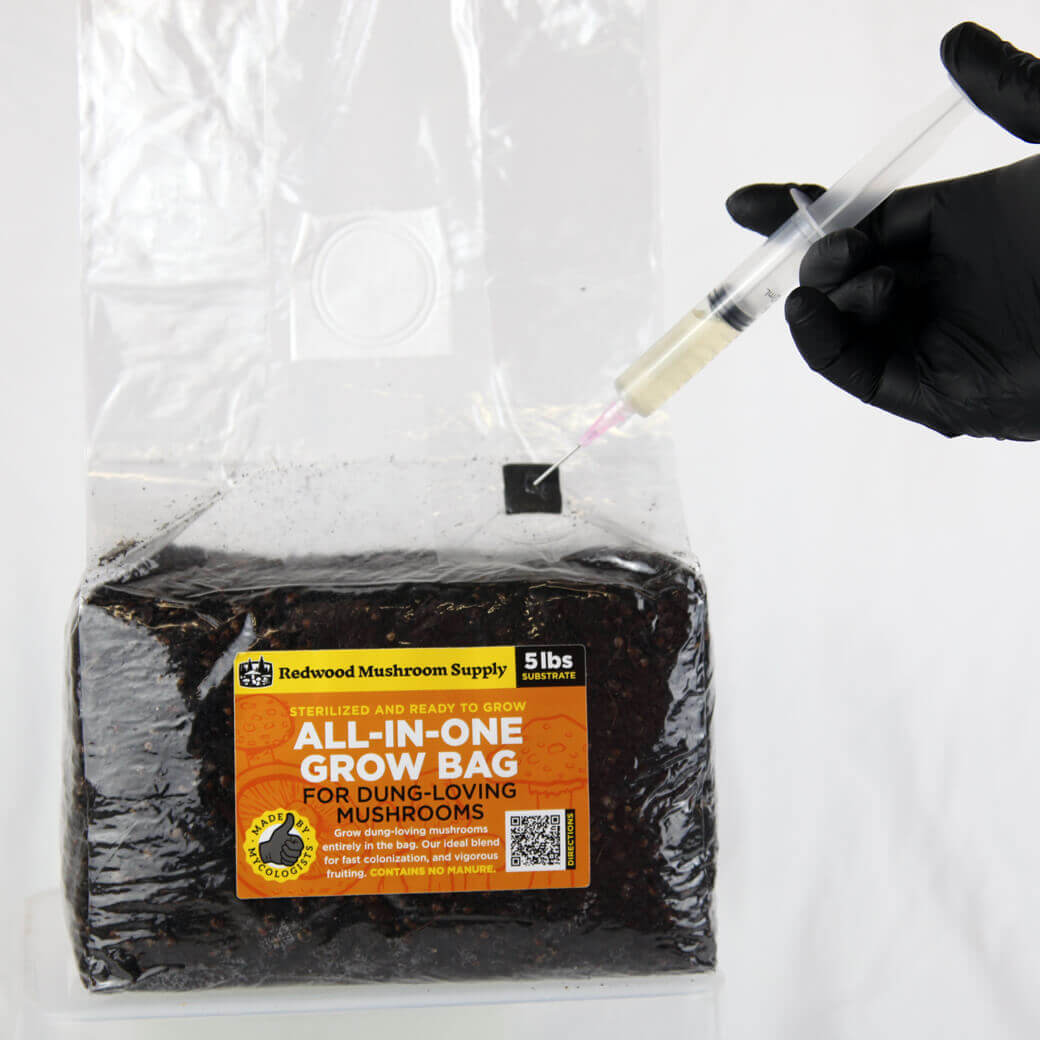 All-in-One Mushroom Grow Bag - Dung-Loving