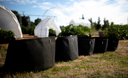 fabric pots for plants GeoPot Fabric Pots, Black – Evolve Garden Supply