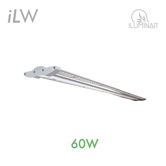 iLuminar Lighting iLW LED 60W 120-277V