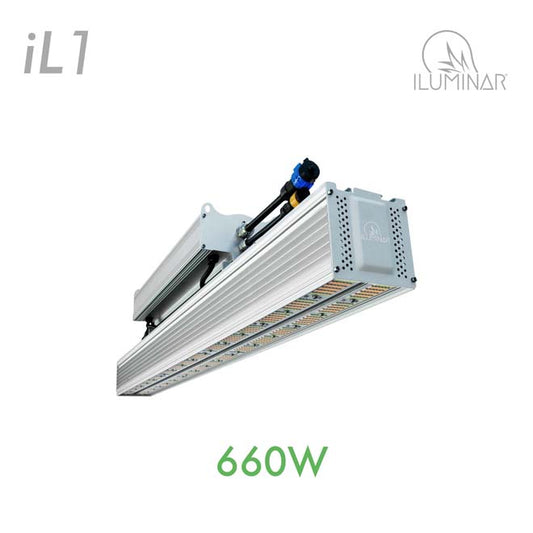 iLuminar Lighting iL1 LED 660W 120-277V