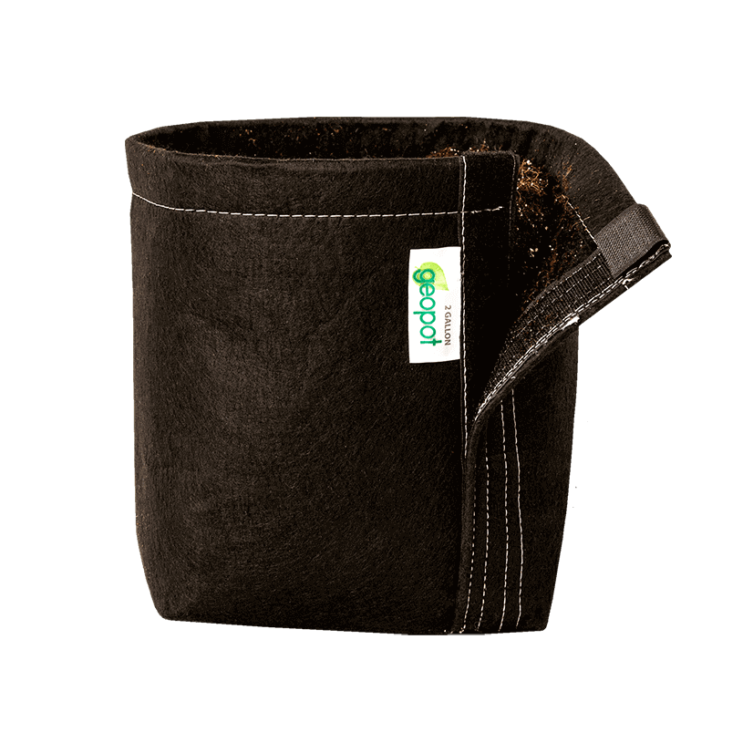 GeoPot Fabric Pots | Black Velcro