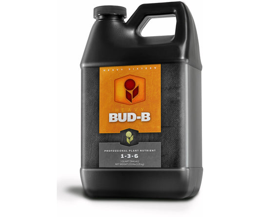 HEAVY 16 Bud B, 32 oz