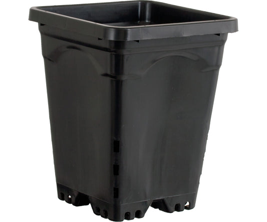 Active Aqua 6" x 6" Square Black Pot, 8" Tall, case of 50