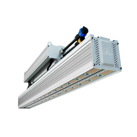 iLuminar iL1c LED 330W 120-277V