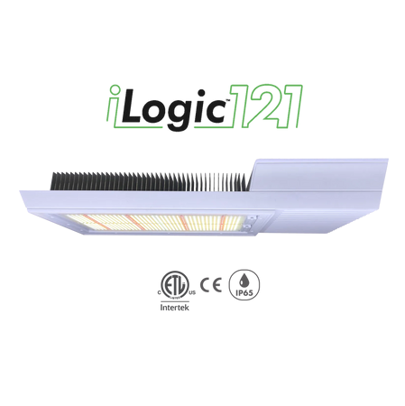 iLuminar iLogic121 Full Spectrum LED 780W 120-277V