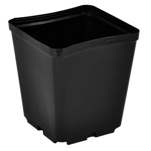 Gro Pro Injection Molded Plastic Pot - Square, Black - 5.5" x 5.5" x 6" (Case of 200)